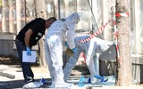 Đâm xe liên tiếp vào người chờ ở bến xe buýt tại Marseille, Pháp